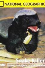 Watch National Geographic: Snake Killers Honey Badgers Of The Kalahari Myflixer