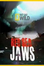 Watch National Geographic Red Sea Jaws Myflixer