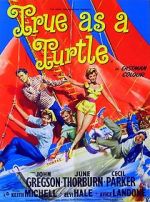 Watch True as a Turtle Myflixer