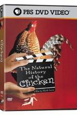 Watch The Natural History of the Chicken Myflixer