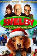 Watch Shelby Myflixer