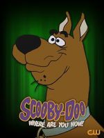 Watch Scooby-Doo, Where Are You Now! (TV Special 2021) Myflixer