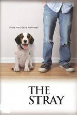 Watch The Stray Myflixer