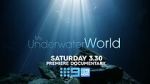 Watch My Underwater World (TV Special 2024) Myflixer
