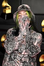 Watch The 63rd Annual Grammy Awards Myflixer
