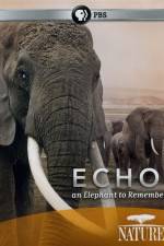 Watch Echo: An Elephant to Remember Myflixer