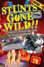 Watch Stunts Gone Wild: Crashes, Smashes & Road Rashes! Myflixer