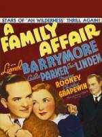 Watch A Family Affair Myflixer