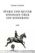 Watch Pferd und Reiter Springen �ber ein Hindernis Myflixer
