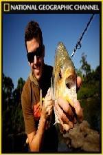 Watch National Geographic Explorer Megapiranha Myflixer