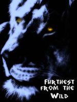 Watch Furthest from the Wild Myflixer