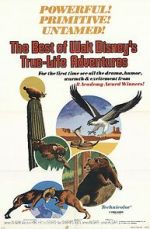 Watch The Best of Walt Disney\'s True-Life Adventures Myflixer