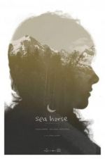 Watch Sea Horse Myflixer