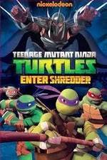 Watch Teenage Mutant Ninja Turtles: Enter Shredder Myflixer