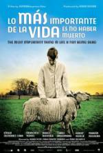 Watch The Most Important Thing in Life Is Not Being Dead Myflixer