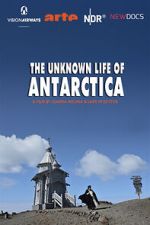Watch The Unknown Life of Antarctica Myflixer