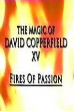 Watch The Magic of David Copperfield XV Fires of Passion Myflixer