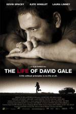 Watch The Life of David Gale Myflixer