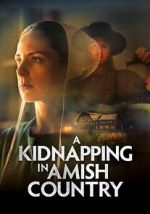 Watch A Kidnapping in Amish Country Myflixer
