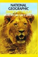 Watch National Geographic: Walking with Lions Myflixer