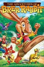 Watch The Adventures of Brer Rabbit Myflixer