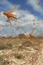 Watch Swarm Chasers: Locusts Myflixer