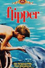 Watch Flipper Myflixer