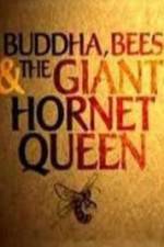 Watch Natural World Buddha Bees and the Giant Hornet Queen Myflixer