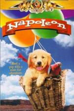 Watch Napoleon Myflixer