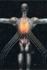 Watch Tool Salival Myflixer