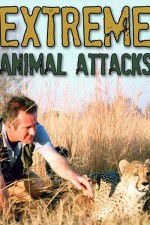 Watch Extreme Animal Attacks Myflixer