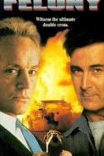 Watch Felony Myflixer