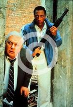 Watch Case Closed Myflixer