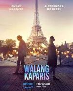 Watch Nothing Like Paris Myflixer