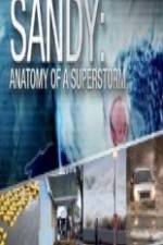 Watch Sandy Anatomy Of A Superstorm Myflixer