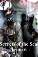 Watch Discovery Channel Secrets of Seal Team 6 Myflixer