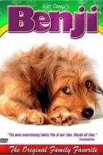 Watch Benji Myflixer