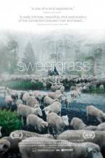 Watch Sweetgrass Myflixer