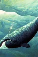 Watch Nature Fellowship of the Whales Myflixer