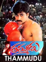 Watch Thammudu Myflixer