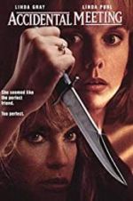 Watch Accidental Meeting Myflixer