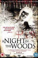Watch A Night in the Woods Myflixer
