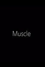 Watch Muscle Myflixer