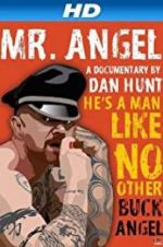 Watch Mr. Angel Myflixer