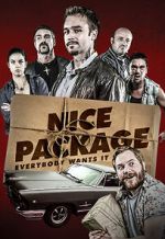 Watch Nice Package Myflixer