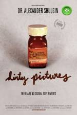 Watch Dirty Pictures Myflixer
