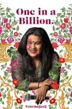 Watch Zarna Garg: One in a Billion Myflixer