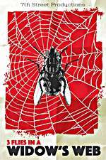 Watch 3 Flies in a Widows Web Myflixer