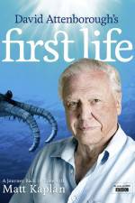 Watch First Life Myflixer