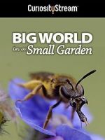 Watch Big World in a Small Garden (TV Short 2016) Myflixer